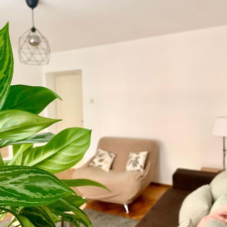 Star Apartment 2 Belgrado Esterno foto