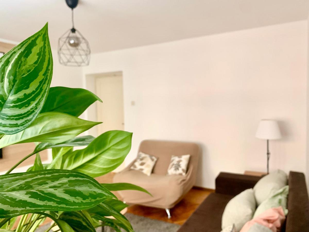Star Apartment 2 Belgrado Esterno foto